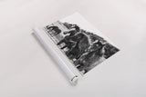 Horses Three by Aledanda. shown as a rolled paper print. Available as archival giclee rolled canvas, fine art paper, or poster print. SKU 47852i.
