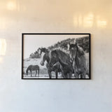 Horses Three by Aledanda. shown as a paper print in a black flame. Available as a archival giclee rolled canvas, fine art paper, or poster print. SKU 47852i.
