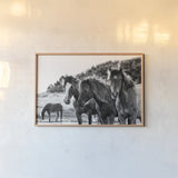 Horses Three by Aledanda. shown as a paper print in a natural frame. Available as a archival giclee rolled canvas, fine art paper, or poster print. SKU 47852i.
