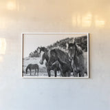 Horses Three by Aledanda. shown as a paper print in a white frame. Available as a archival giclee rolled canvas, fine art paper, or poster print. SKU 47852i.