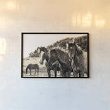 Horses Three Sepia by Aledanda. shown as a paper print in a black flame. Available as a archival giclee rolled canvas, fine art paper, or poster print. SKU 53122i.