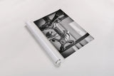 Hot and Cold I  by Aledanda. shown as a rolled paper print. Available as archival giclee rolled canvas, fine art paper, or poster print. SKU 58220i.