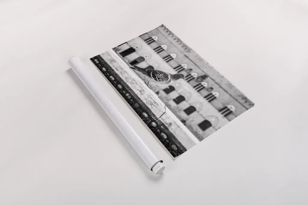Il Piccione by Aledanda. shown as a rolled paper print. Available as archival giclee rolled canvas, fine art paper, or poster print. SKU 71238i.