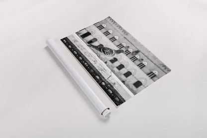 Il Piccione by Aledanda. shown as a rolled paper print. Available as archival giclee rolled canvas, fine art paper, or poster print. SKU 71238i.