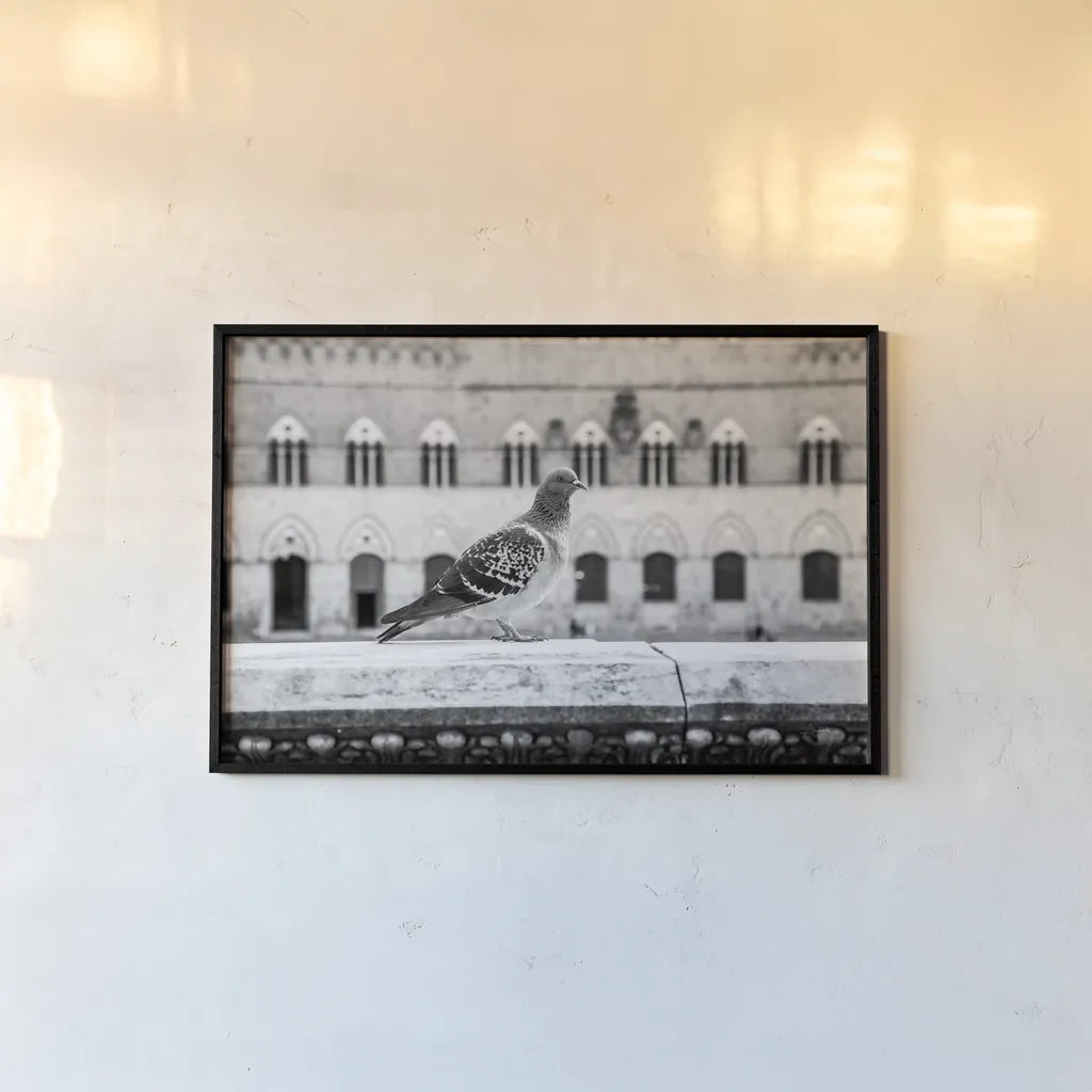 Il Piccione by Aledanda. shown as a paper print in a black flame. Available as a archival giclee rolled canvas, fine art paper, or poster print. SKU 71238i.