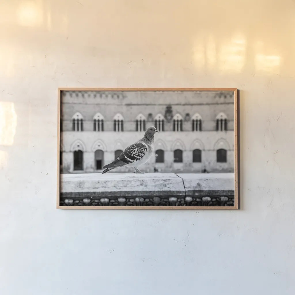 Il Piccione by Aledanda. shown as a paper print in a natural frame. Available as a archival giclee rolled canvas, fine art paper, or poster print. SKU 71238i.
