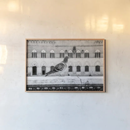 Il Piccione by Aledanda. shown as a paper print in a natural frame. Available as a archival giclee rolled canvas, fine art paper, or poster print. SKU 71238i.