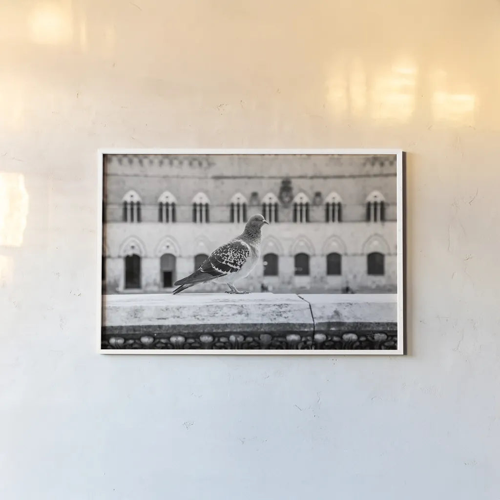 Il Piccione by Aledanda. shown as a paper print in a white frame. Available as a archival giclee rolled canvas, fine art paper, or poster print. SKU 71238i.