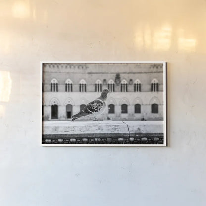 Il Piccione by Aledanda. shown as a paper print in a white frame. Available as a archival giclee rolled canvas, fine art paper, or poster print. SKU 71238i.