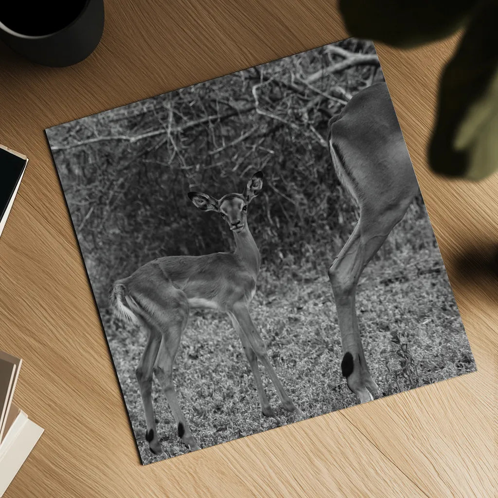 Impala and Baby by Aledanda. Shown as a detailed flat fine art print, highlighting archival giclee quality. Available as an archival giclee rolled canvas, fine art paper, or poster print. SKU 58137a.