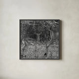 Impala and Baby by Aledanda. Shown in a sleek black glass frame for a contemporary gallery look. Available as an archival giclee rolled canvas, fine art paper, or poster print. SKU 58137a.