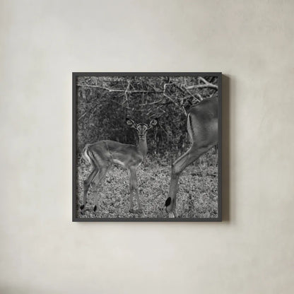Impala and Baby by Aledanda. Shown in a sleek black glass frame for a contemporary gallery look. Available as an archival giclee rolled canvas, fine art paper, or poster print. SKU 58137a.