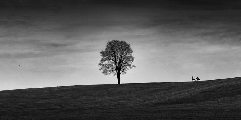 In the Distance by Aledanda