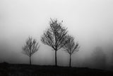 In the Fog by Aledanda. SKU 38324i. Archival Giclee Fine art print for wall decor.