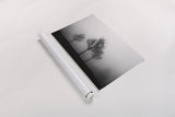 In the Fog by Aledanda. shown as a rolled paper print. Available as archival giclee rolled canvas, fine art paper, or poster print. SKU 38324i.