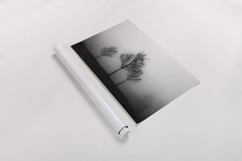 In the Fog by Aledanda. shown as a rolled paper print. Available as archival giclee rolled canvas, fine art paper, or poster print. SKU 38324i.