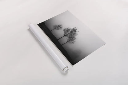 In the Fog by Aledanda. shown as a rolled paper print. Available as archival giclee rolled canvas, fine art paper, or poster print. SKU 38324i.