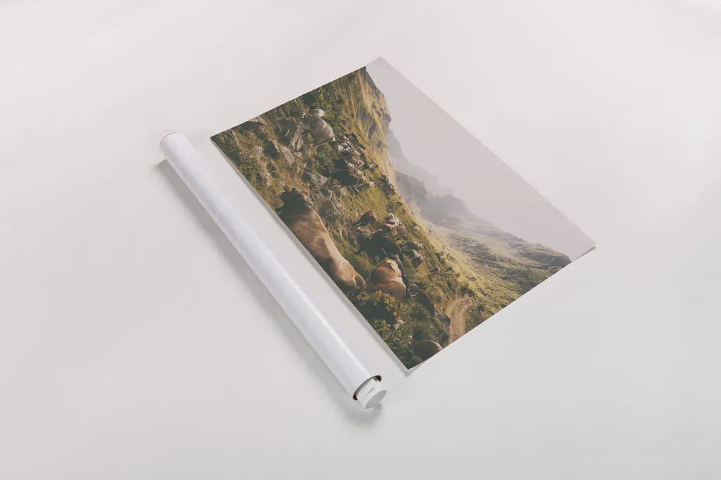 In the Valley by Aledanda. shown as a rolled paper print. Available as archival giclee rolled canvas, fine art paper, or poster print. SKU 38320i.