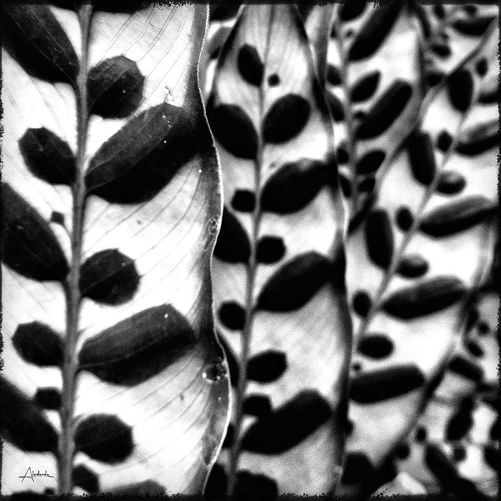 Leaves and Vines by Aledanda. SKU 37455a. Archival Giclee Fine art print for wall decor.