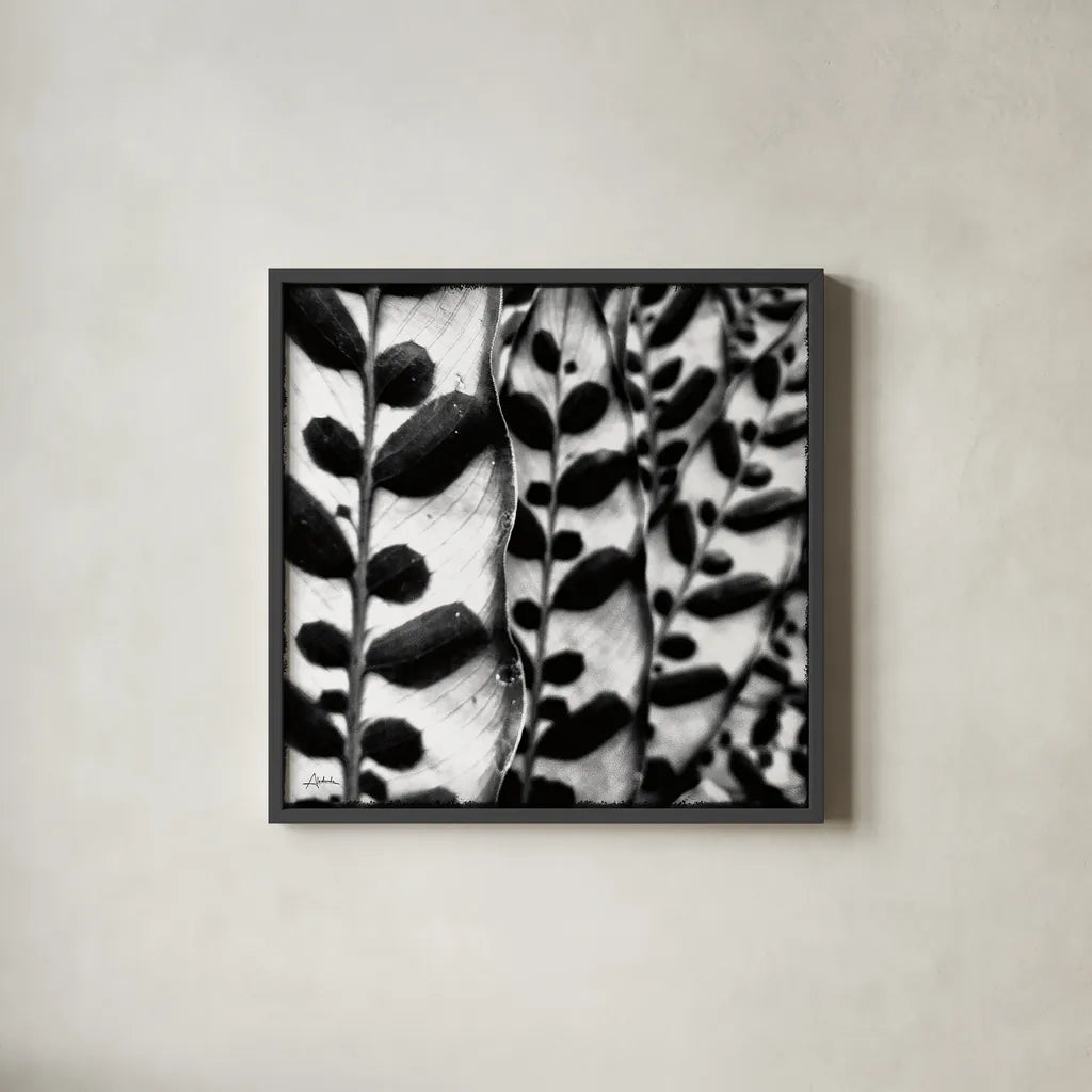 Leaves and Vines by Aledanda. Shown in a sleek black glass frame for a contemporary gallery look. Available as an archival giclee rolled canvas, fine art paper, or poster print. SKU 37455a.