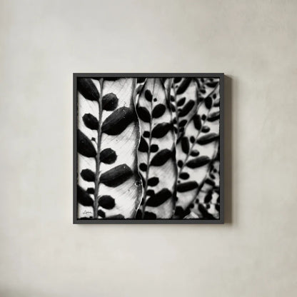 Leaves and Vines by Aledanda. Shown in a sleek black glass frame for a contemporary gallery look. Available as an archival giclee rolled canvas, fine art paper, or poster print. SKU 37455a.
