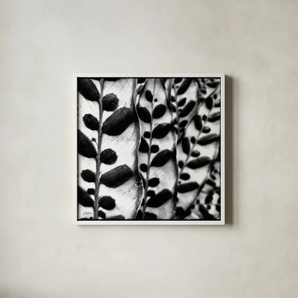 Leaves and Vines by Aledanda. Shown in a crisp white glass frame for a clean and minimalist style. Available as an archival giclee rolled canvas, fine art paper, or poster print. SKU 37455a.