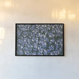 Lilac Closeup by Aledanda. shown as a paper print in a black flame. Available as a archival giclee rolled canvas, fine art paper, or poster print. SKU 63217i.