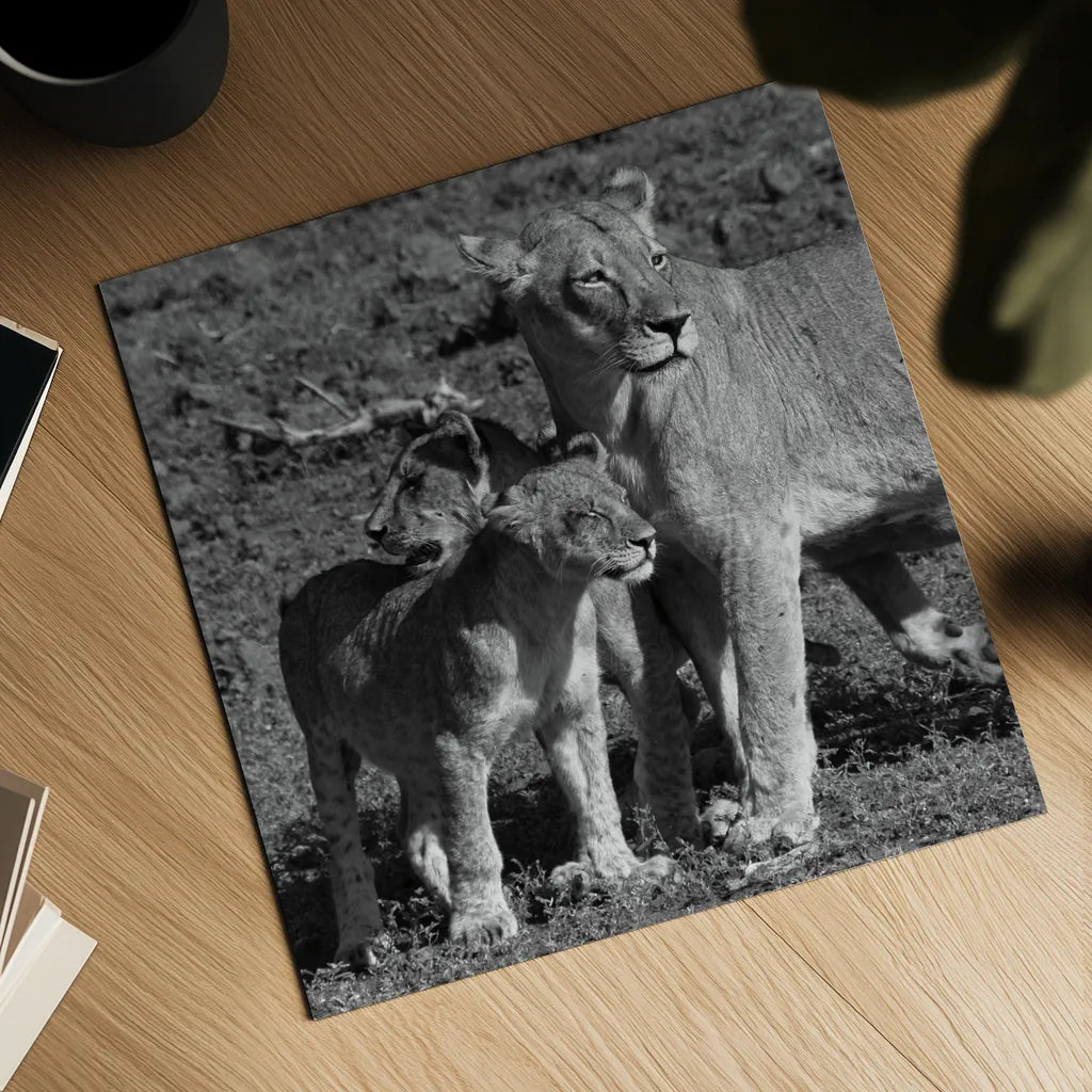 Lioness and Cubs by Aledanda. Shown as a detailed flat fine art print, highlighting archival giclee quality. Available as an archival giclee rolled canvas, fine art paper, or poster print. SKU 58138a.