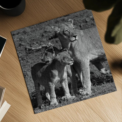 Lioness and Cubs by Aledanda. Shown as a detailed flat fine art print, highlighting archival giclee quality. Available as an archival giclee rolled canvas, fine art paper, or poster print. SKU 58138a.