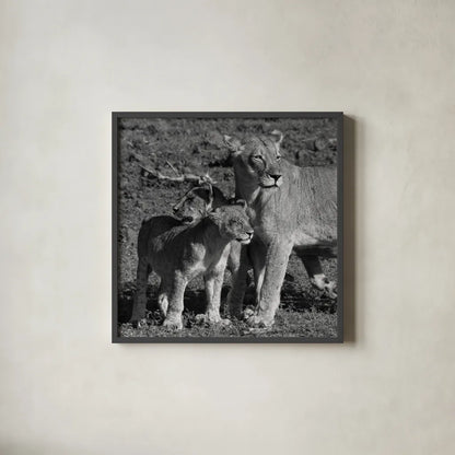 Lioness and Cubs by Aledanda. Shown in a sleek black glass frame for a contemporary gallery look. Available as an archival giclee rolled canvas, fine art paper, or poster print. SKU 58138a.