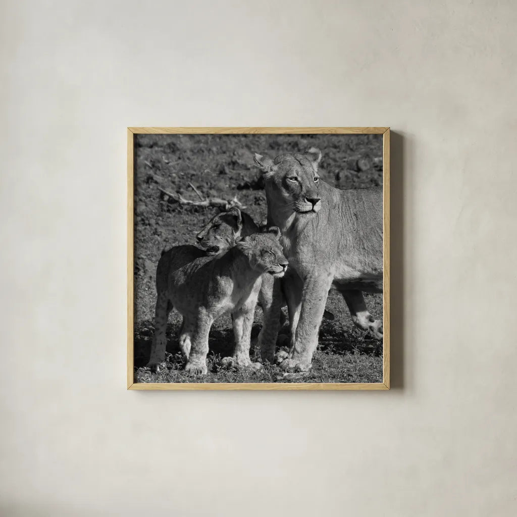 Lioness and Cubs by Aledanda. Shown in a natural wood glass frame for a timeless modern aesthetic. Available as an archival giclee rolled canvas, fine art paper, or poster print. SKU 58138a.