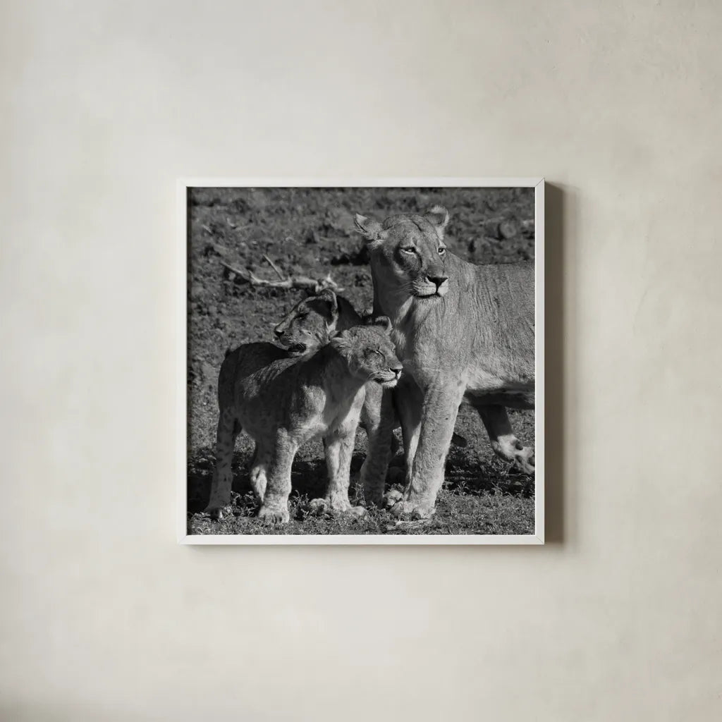 Lioness and Cubs by Aledanda. Shown in a crisp white glass frame for a clean and minimalist style. Available as an archival giclee rolled canvas, fine art paper, or poster print. SKU 58138a.
