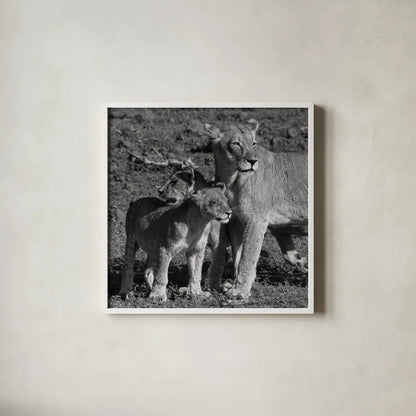 Lioness and Cubs by Aledanda. Shown in a crisp white glass frame for a clean and minimalist style. Available as an archival giclee rolled canvas, fine art paper, or poster print. SKU 58138a.