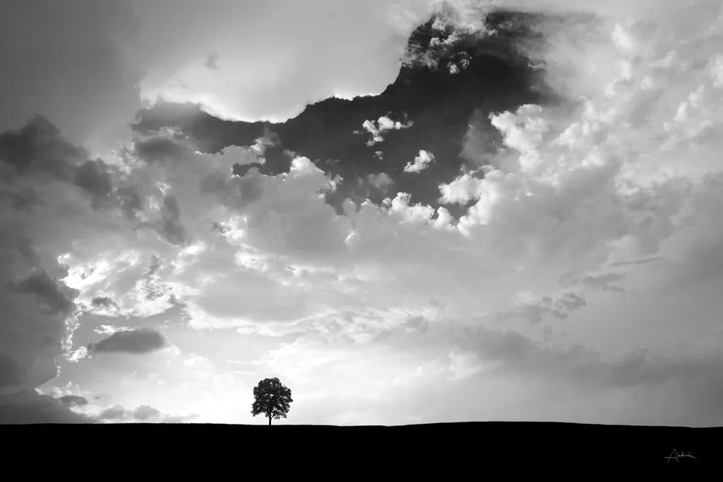 Lone Tree by Aledanda. SKU 10151i. Archival Giclee Fine art print for wall decor.