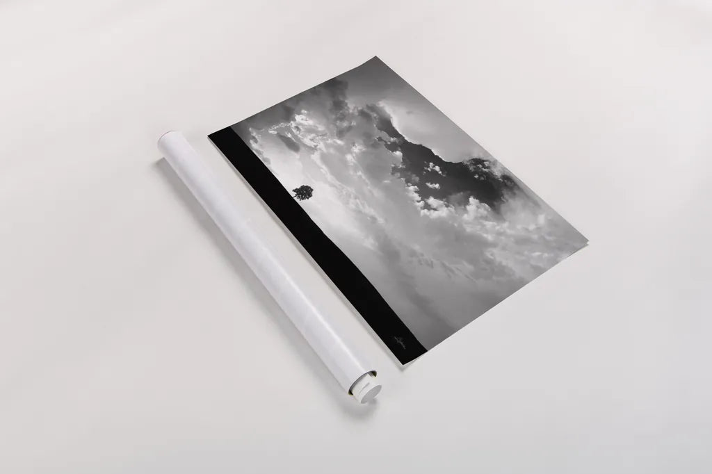 Lone Tree by Aledanda. shown as a rolled paper print. Available as archival giclee rolled canvas, fine art paper, or poster print. SKU 10151i.