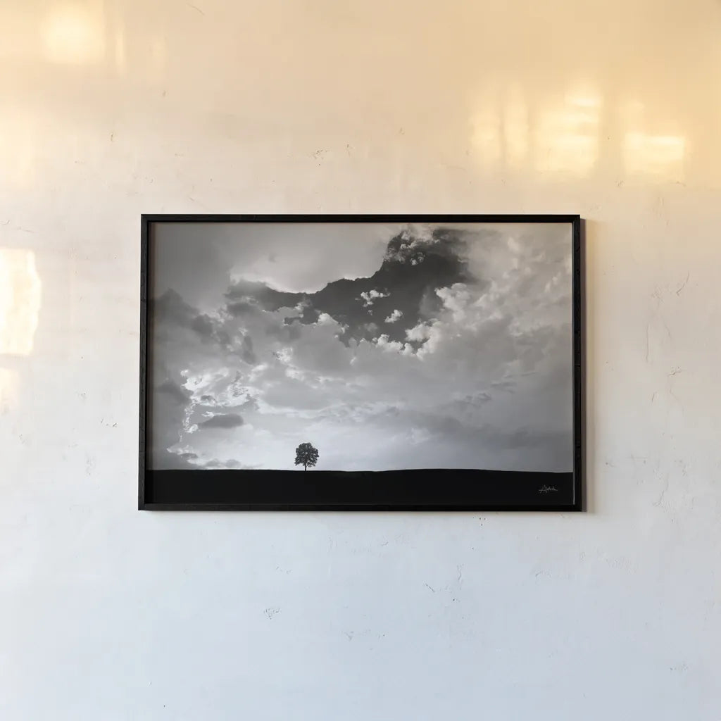 Lone Tree by Aledanda. shown as a paper print in a black flame. Available as a archival giclee rolled canvas, fine art paper, or poster print. SKU 10151i.