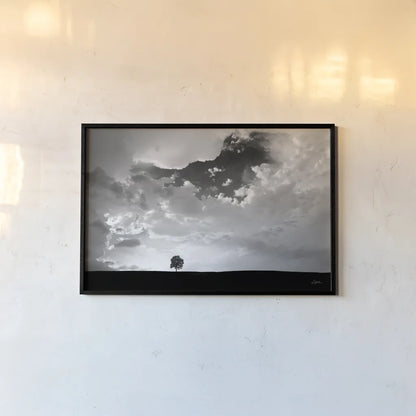 Lone Tree by Aledanda. shown as a paper print in a black flame. Available as a archival giclee rolled canvas, fine art paper, or poster print. SKU 10151i.