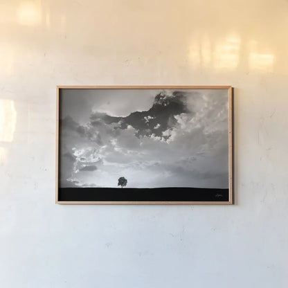 Lone Tree by Aledanda. shown as a paper print in a natural frame. Available as a archival giclee rolled canvas, fine art paper, or poster print. SKU 10151i.