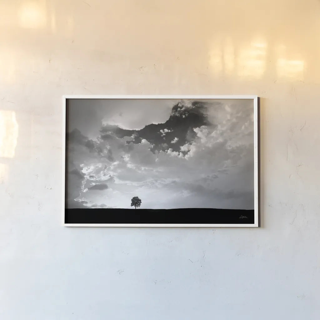 Lone Tree by Aledanda. shown as a paper print in a white frame. Available as a archival giclee rolled canvas, fine art paper, or poster print. SKU 10151i.