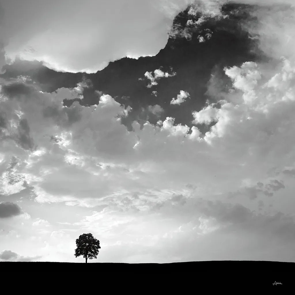 Lone Tree Square by Aledanda. SKU 15233a. Archival Giclee Fine art print for wall decor.