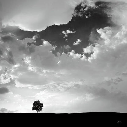 Lone Tree Square by Aledanda. SKU 15233a. Archival Giclee Fine art print for wall decor.