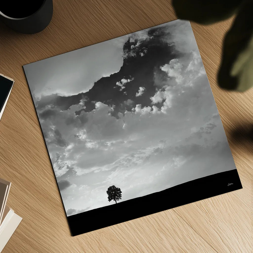 Lone Tree Square by Aledanda. Shown as a detailed flat fine art print, highlighting archival giclee quality. Available as an archival giclee rolled canvas, fine art paper, or poster print. SKU 15233a.