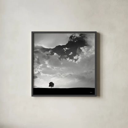 Lone Tree Square by Aledanda. Shown in a sleek black glass frame for a contemporary gallery look. Available as an archival giclee rolled canvas, fine art paper, or poster print. SKU 15233a.