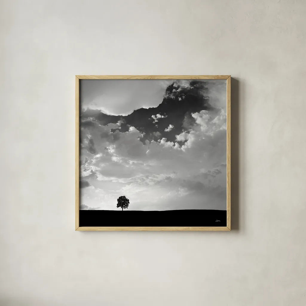 Lone Tree Square by Aledanda. Shown in a natural wood glass frame for a timeless modern aesthetic. Available as an archival giclee rolled canvas, fine art paper, or poster print. SKU 15233a.