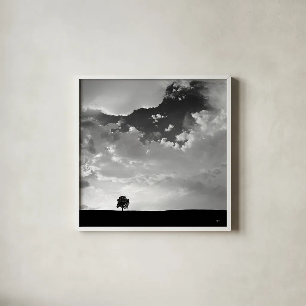 Lone Tree Square by Aledanda. Shown in a crisp white glass frame for a clean and minimalist style. Available as an archival giclee rolled canvas, fine art paper, or poster print. SKU 15233a.