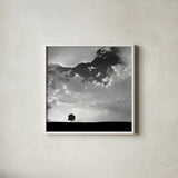 Lone Tree Square by Aledanda. Shown in a crisp white glass frame for a clean and minimalist style. Available as an archival giclee rolled canvas, fine art paper, or poster print. SKU 15233a.
