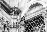 Looking Up by Aledanda. SKU 58395i. Archival Giclee Fine art print for wall decor.