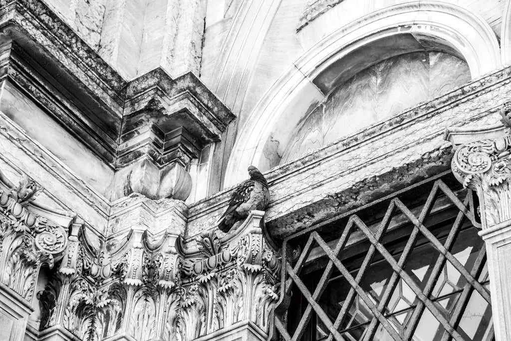 Looking Up by Aledanda. SKU 58395i. Archival Giclee Fine art print for wall decor.