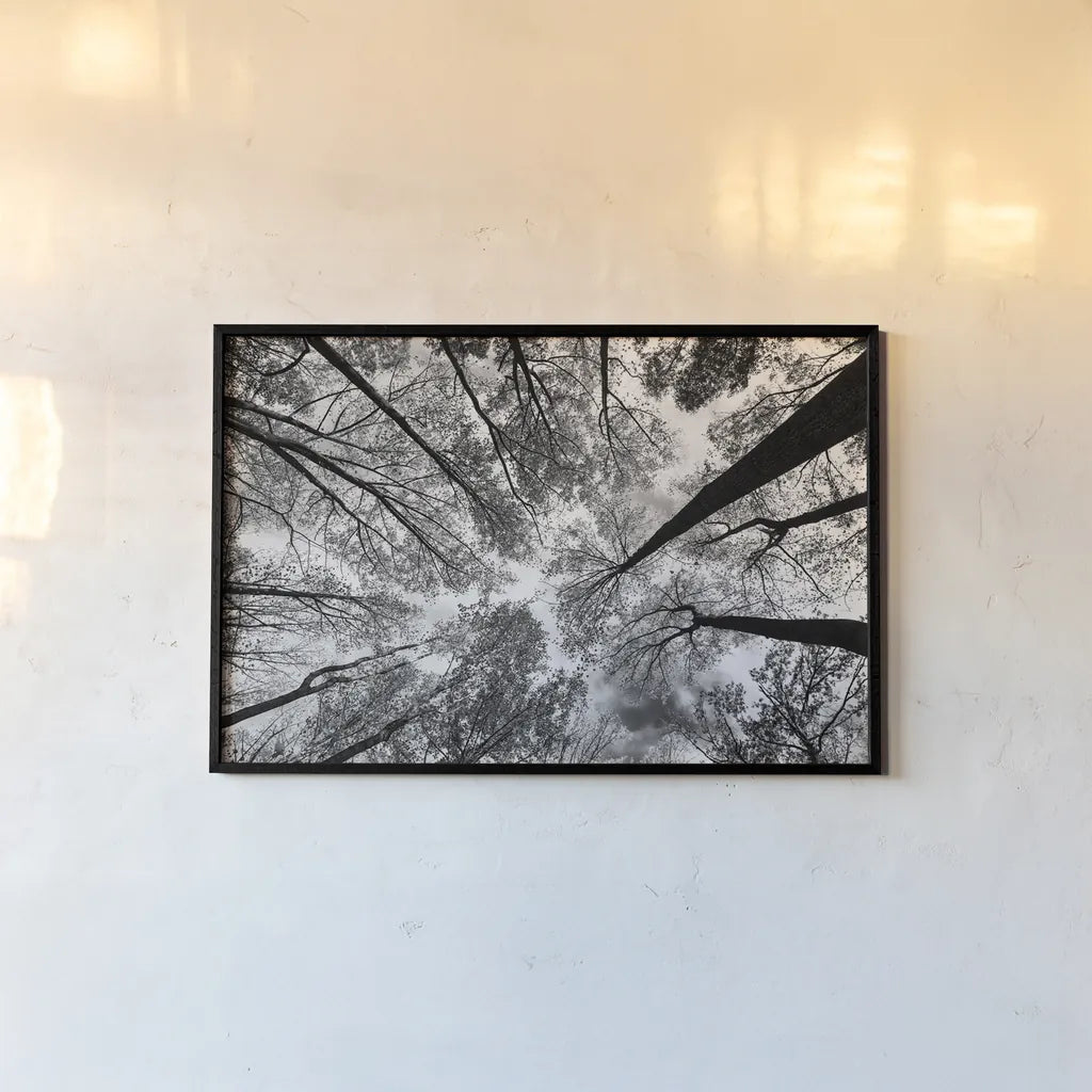 Looking Up I BW by Aledanda. shown as a paper print in a black flame. Available as a archival giclee rolled canvas, fine art paper, or poster print. SKU 38286i.