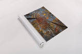Looking Up II by Aledanda. shown as a rolled paper print. Available as archival giclee rolled canvas, fine art paper, or poster print. SKU 38287h.